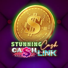 Stunning Cash - Cash Mesh LINK