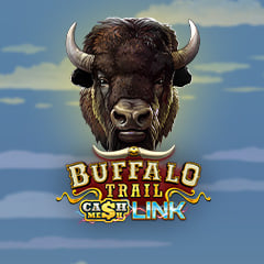 Buffalo Trail – Cash Mesh LINK