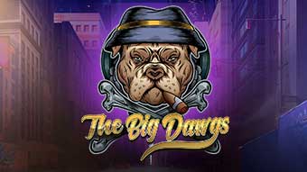 Jogar O Slot The Big Dawgs no Gran Cassino é a mesma emoção e desafio de um Cassino Real.