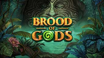 Jogar O Slot Broods of Gods no Gran Cassino é a mesma emoção e desafio de um Cassino Real.