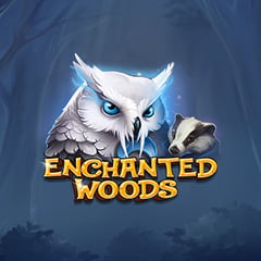 Enchanted Woods